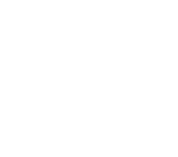 PetCity