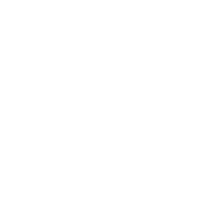 Apivita
